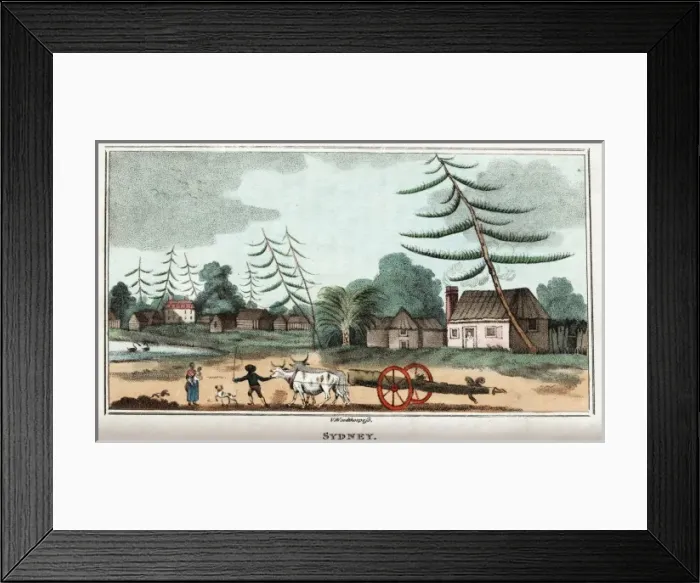 Framed Print : View of Sydney Cove Framed Print : View of Sydney Cove