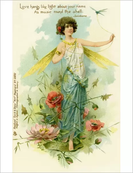 Victorian flower fairies