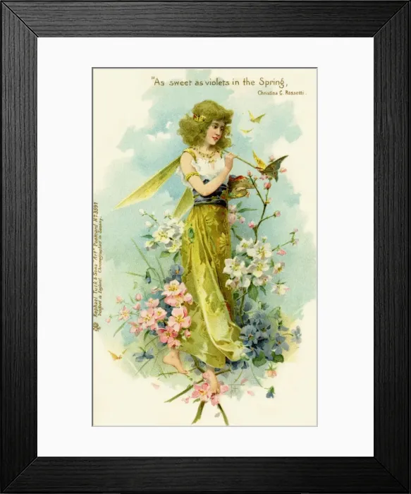 Framed Print : Victorian flower fairies Framed Print : Victorian flower fairies