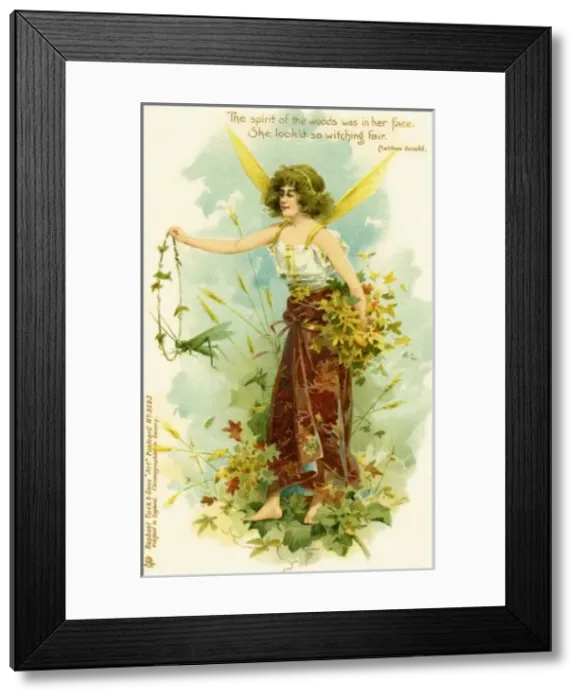 Framed Print : Victorian flower fairies Framed Print : Victorian flower fairies