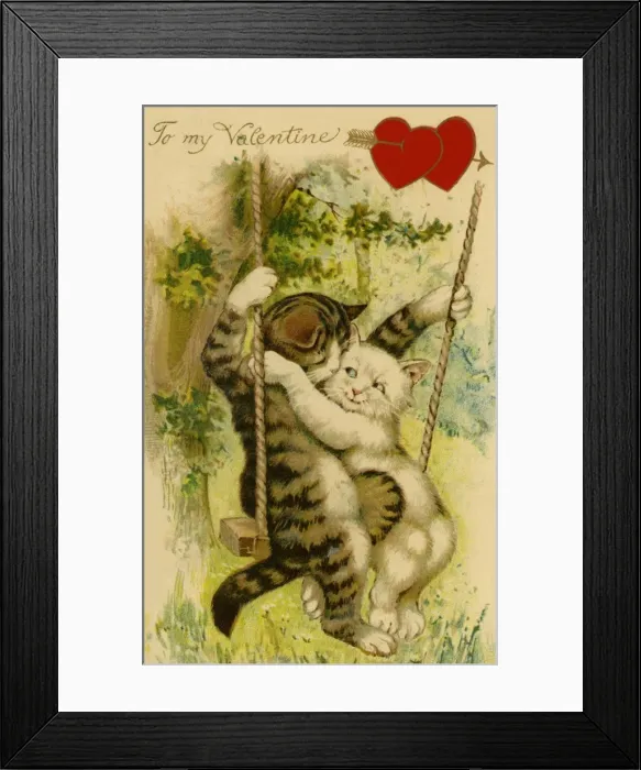 Framed Print : Cats on a swing Framed Print : Cats on a swing