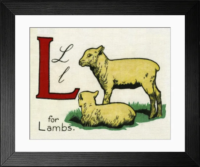 Framed Print : L for Lambs Framed Print : L for Lambs