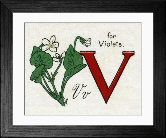 Framed Print : V for Violets Framed Print : V for Violets