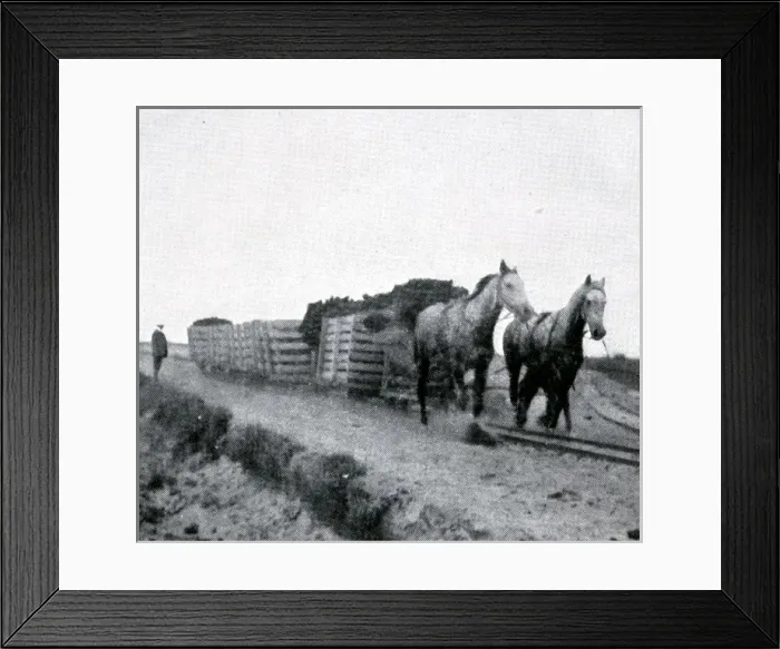 Framed Print : Freistatt peat train Framed Print : Freistatt peat train