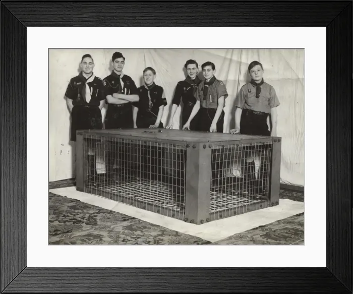 Framed Print : Scouts during Wartime Framed Print : Scouts during Wartime