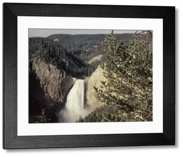 Framed Print : Yellowstone National Park - Wyoming Framed Print : Yellowstone National Park - Wyoming