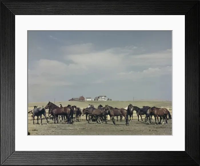 Framed Print : Murdo rodeo - South Dakota Framed Print : Murdo rodeo - South Dakota