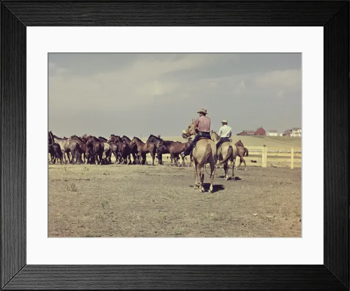 Framed Print : Murdo rodeo - South Dakota Framed Print : Murdo rodeo - South Dakota