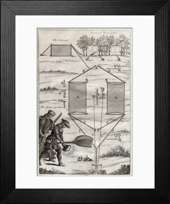 Framed Print : Plate showing hunters and various ways to trap birds Framed Print : Plate showing hunters and various ways to trap birds