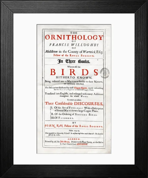 Framed Print : Title page of Willughbys Ornithology Framed Print : Title page of Willughbys Ornithology