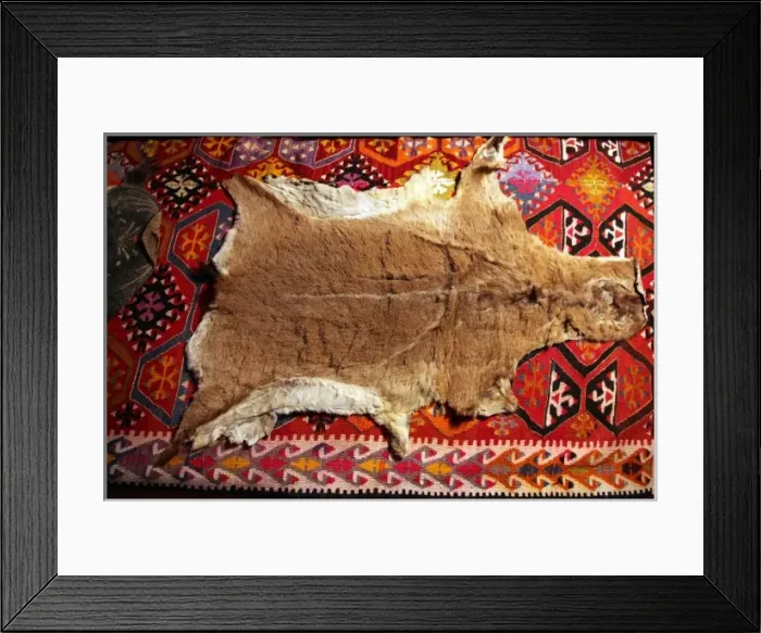 Framed Print : Post from Bektashi Meydan Framed Print : Post from Bektashi Meydan