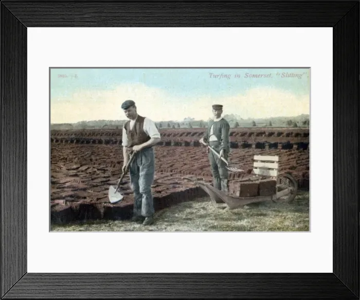 Framed Print : Turfing in Somerset. Slitting Framed Print : Turfing in Somerset. Slitting