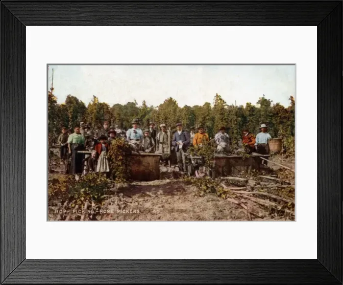 Framed Print : Hop picking - home pickers Framed Print : Hop picking - home pickers