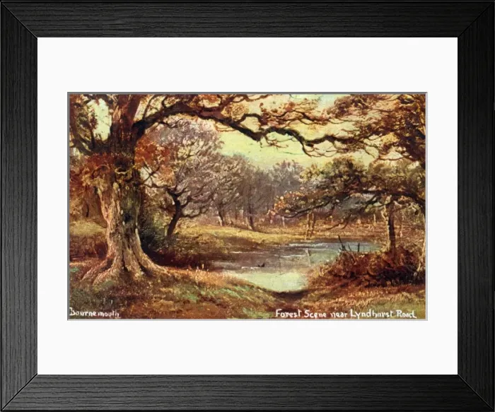 Framed Print : Bournemouth, Forest scene near Lyndhurst Road Framed Print : Bournemouth, Forest scene near Lyndhurst Road