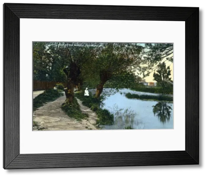 Framed Print : Croyden, Willows on the Wandle Framed Print : Croyden, Willows on the Wandle