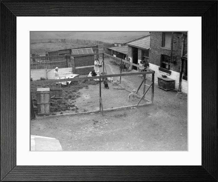 Framed Print : Posh Boarding Kennel Framed Print : Posh Boarding Kennel