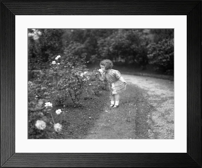 Framed Print : Girl Sniffing a Rose Framed Print : Girl Sniffing a Rose