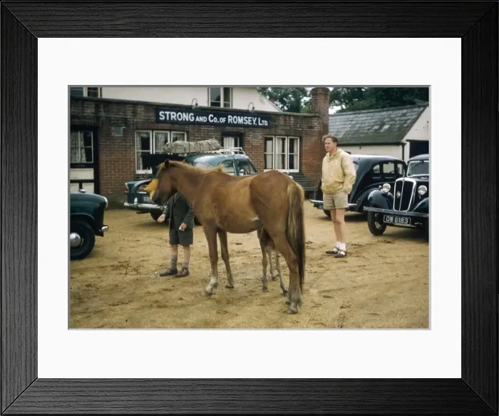 Framed Print : Horse and foal in a car park, Ireland Framed Print : Horse and foal in a car park, Ireland