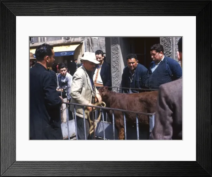 Framed Print : Farmers in a village in the Dordogne, France Framed Print : Farmers in a village in the Dordogne, France