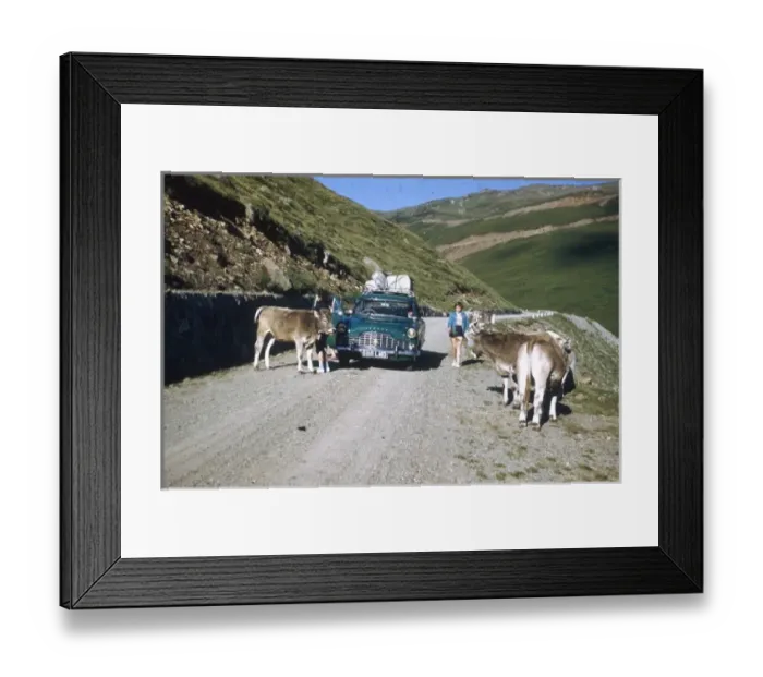 Framed Print : Scene on a country road, Wachau valley, Austria Framed Print : Scene on a country road, Wachau valley, Austria