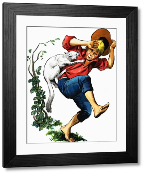 Framed Print : Boy attacked by cat Framed Print : Boy attacked by cat