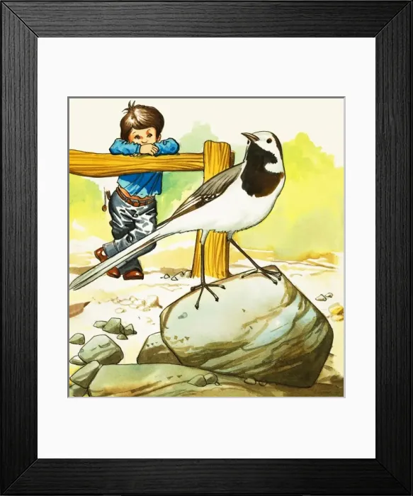 Framed Print : Boy watching an unidentified bird Framed Print : Boy watching an unidentified bird