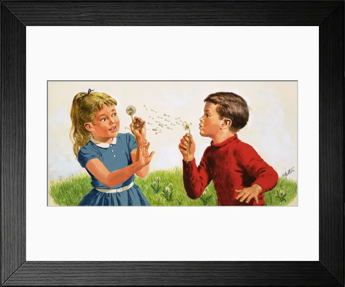 Framed Print : Boy blowing a dandelion clock Framed Print : Boy blowing a dandelion clock