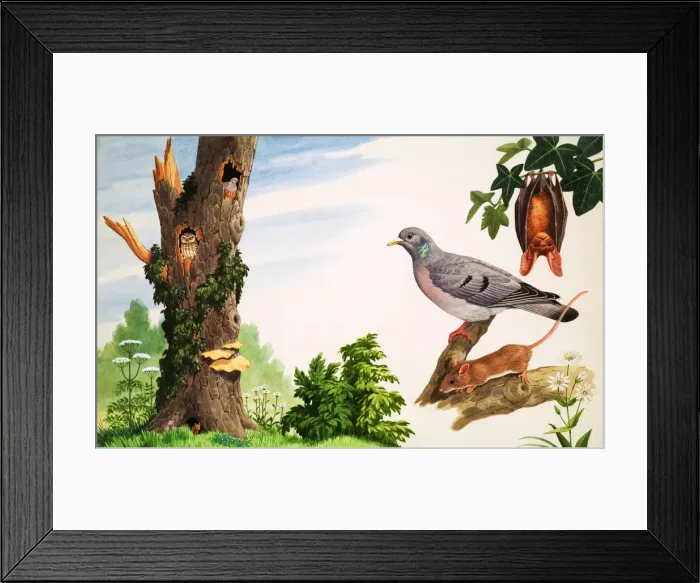 Framed Print : The Dead Tree Framed Print : The Dead Tree