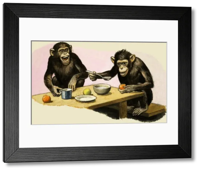 Framed Print : Z for Zoo. Chimpanzees tea-party Framed Print : Z for Zoo. Chimpanzees tea-party