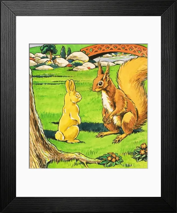 Framed Print : Little Red Squirrel Framed Print : Little Red Squirrel
