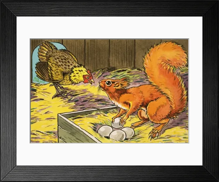 Framed Print : Little Red Squirrel Framed Print : Little Red Squirrel