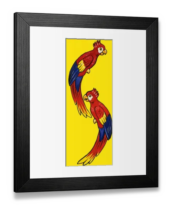 Framed Print : Parrots Framed Print : Parrots