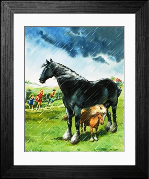 Framed Print : Foal sheltering from bad weather under another horse Framed Print : Foal sheltering from bad weather under another horse