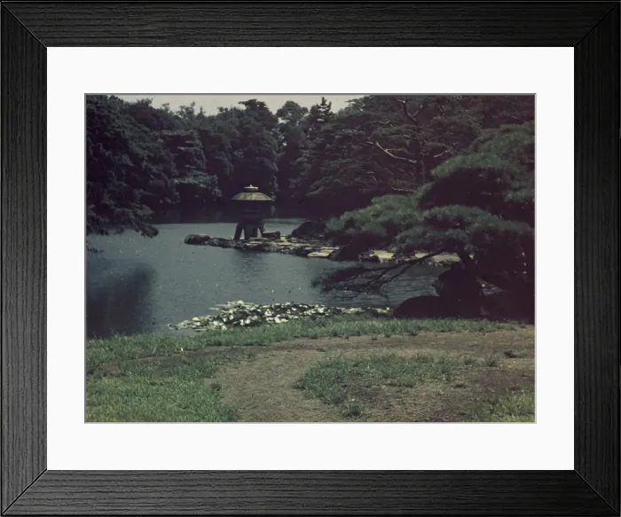 Framed Print : Tokyo Shimjuku - Japan Framed Print : Tokyo Shimjuku - Japan