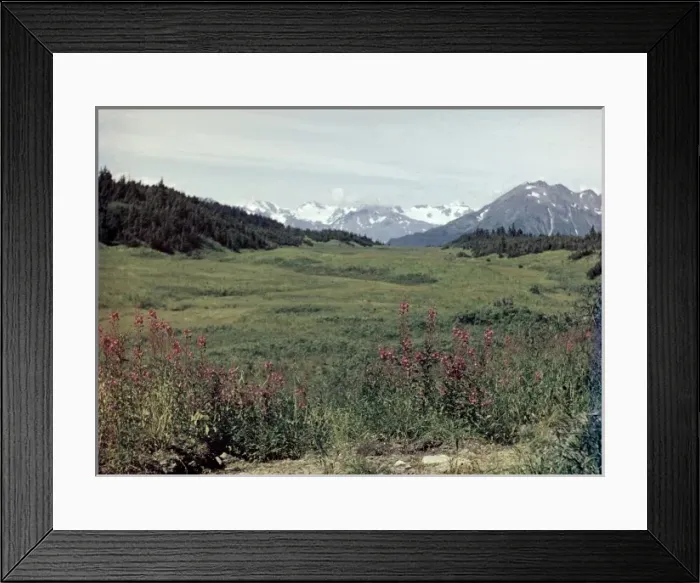 Framed Print : Kenai Peninsula - Alaska Framed Print : Kenai Peninsula - Alaska