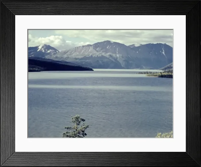 Framed Print : Kenai Peninsula - Alaska Framed Print : Kenai Peninsula - Alaska