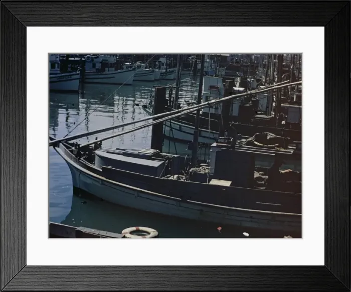 Framed Print : San Francisco - California Framed Print : San Francisco - California