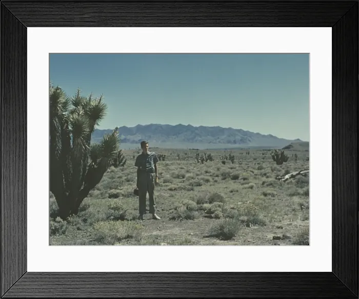 Framed Print : near Goldfield - Nevada Framed Print : near Goldfield - Nevada
