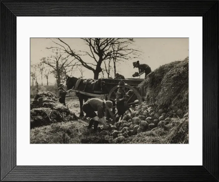 Framed Print : Scouts during Wartime Framed Print : Scouts during Wartime