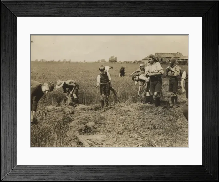 Framed Print : Scouts during Wartime Framed Print : Scouts during Wartime