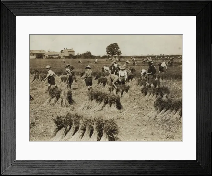 Framed Print : Scouts during Wartime Framed Print : Scouts during Wartime