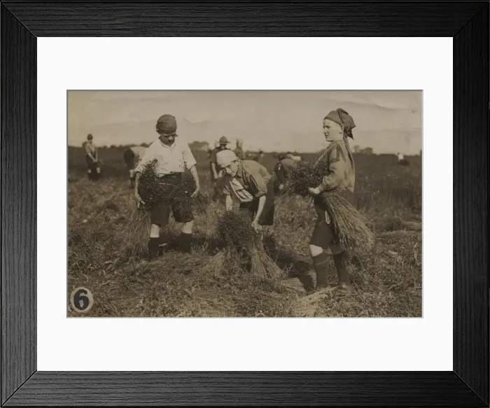 Framed Print : Scouts during Wartime
