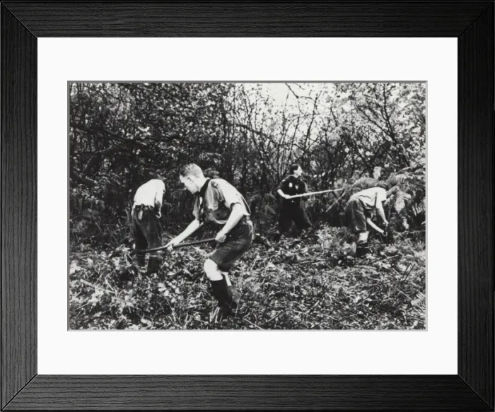 Framed Print : Scouts during Wartime Framed Print : Scouts during Wartime