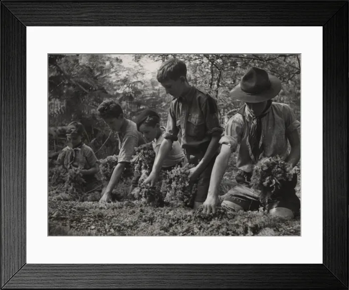 Framed Print : Scouts during Wartime Framed Print : Scouts during Wartime