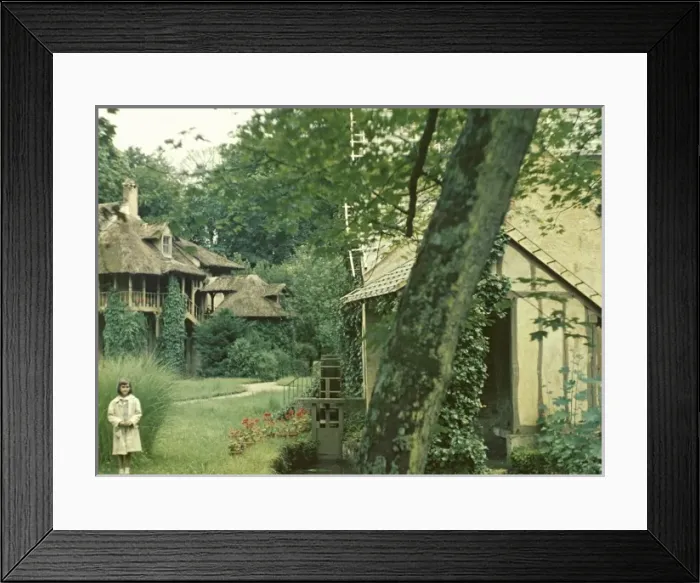 Framed Print : Versailles - France