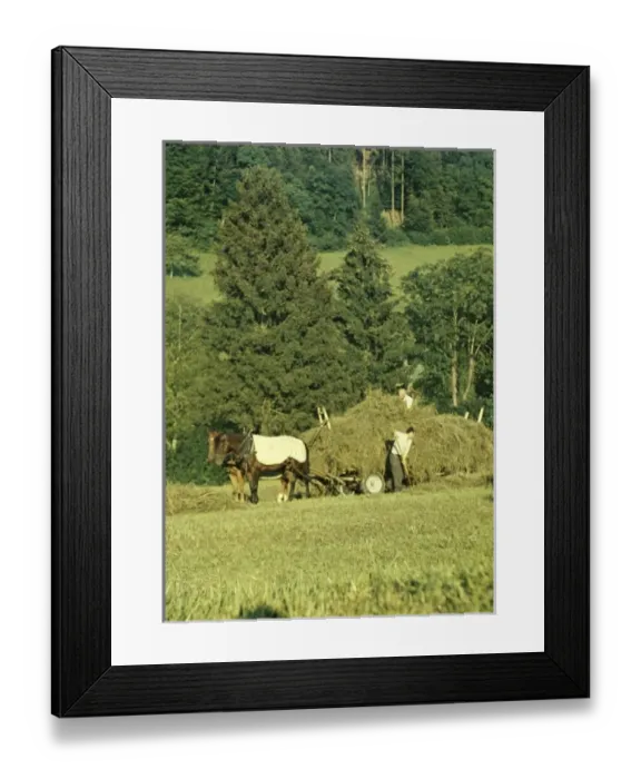 Framed Print : Le Mont - Switzerland Framed Print : Le Mont - Switzerland
