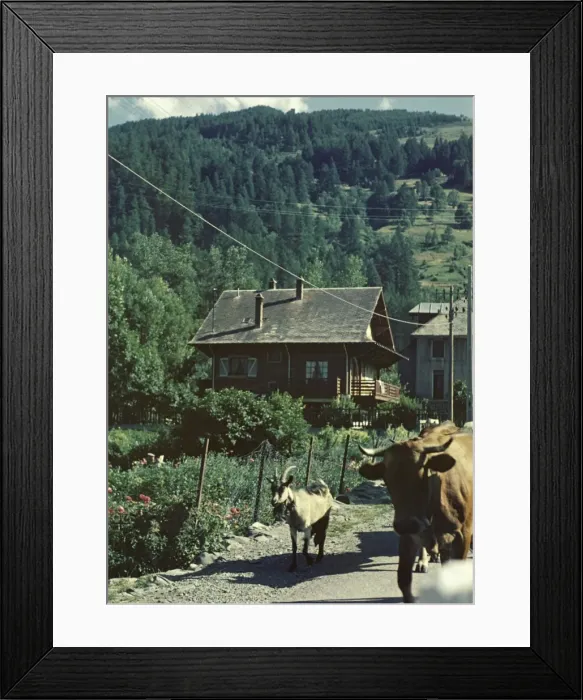 Framed Print : Route des Alpes - France Framed Print : Route des Alpes - France