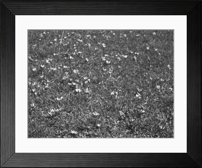 Framed Print : Allos - France Framed Print : Allos - France
