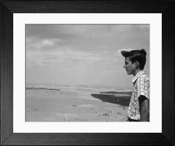 Framed Print : Cairo - Gizeh - Egypt Framed Print : Cairo - Gizeh - Egypt