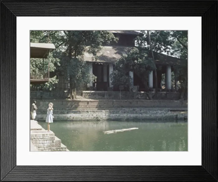 Framed Print : Sacred Turtle pool - Rangoon Framed Print : Sacred Turtle pool - Rangoon